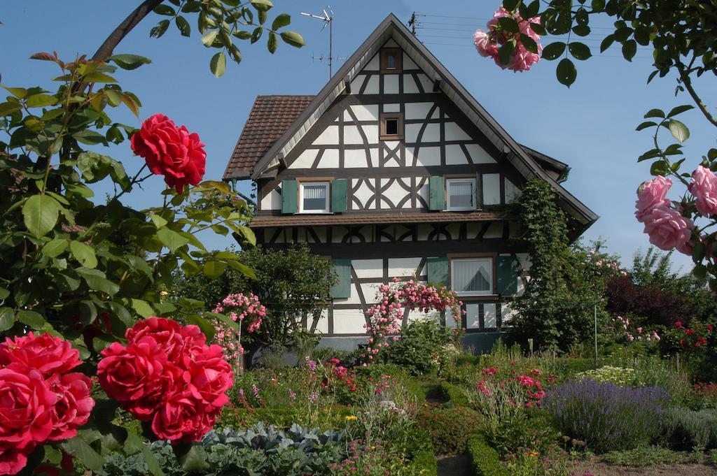 Pflugwirts Hotel Und Gasthaus Oberkirch  Eksteriør billede